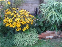 05547750-2016-08-22 18.23.31.jpg